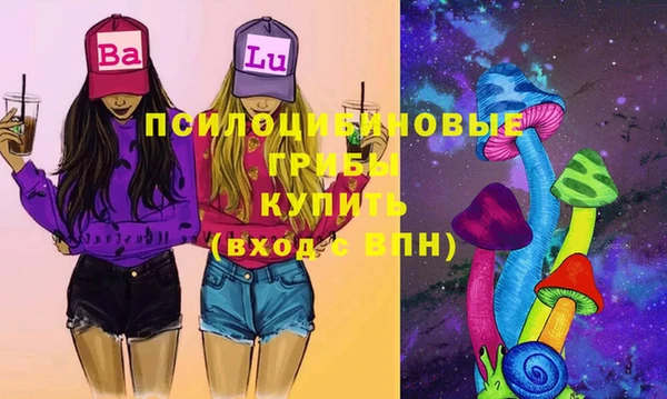 молекула духа Алексин