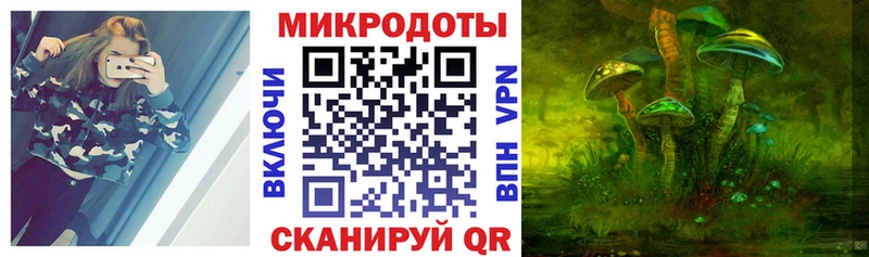где можно купить   Лосино-Петровский  Псилоцибиновые грибы Psilocybe 